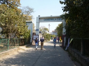 P1050987